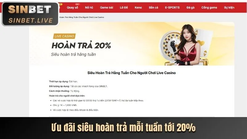 Cập Nhật Khuyến Mãi và Ưu Đãi Đặc Biệt